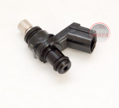 Picture of Injector TM Racing - 250/300 Fi 2T