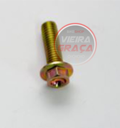Picture of Parafuso TE TM Racing M6x20mm CH.8