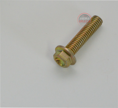 Picture of Parafuso TE TM Racing M6x25mm CH.8
