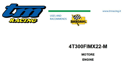 Imagem de 4T 300Fi MX  - MOTOR (ENGINE)
