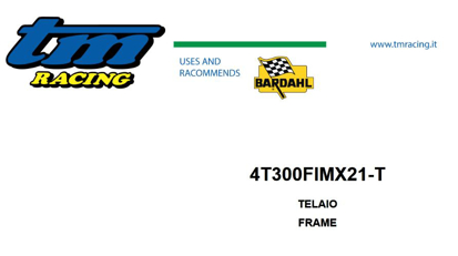 Picture of 4T 300Fi MX TWIN - QUADRO (FRAME)