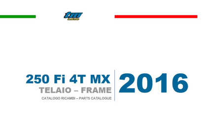 Imagem de 4T 250Fi MX - QUADRO (FRAME)