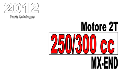Imagem de 2T 250/300 EN/MX - MOTOR (ENGINE)
