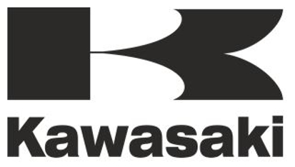 Picture of Kawasaki - Pastilhas travão disco