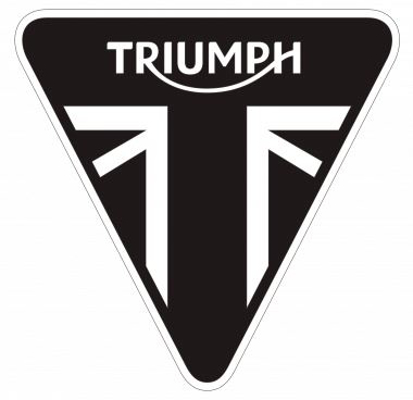 Picture of Triumph - Pastilhas travão disco