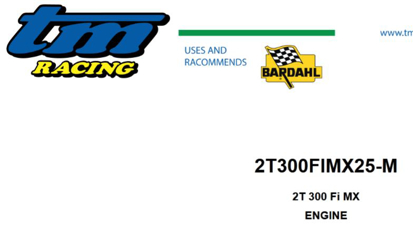 Imagem de 2T 300 Fi MX - MOTOR (ENGINE)