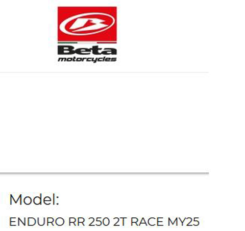 Picture for category ENDURO RR 250 2T RACE MY25