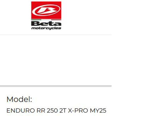 Picture for category ENDURO RR 250 2T X-PRO MY25