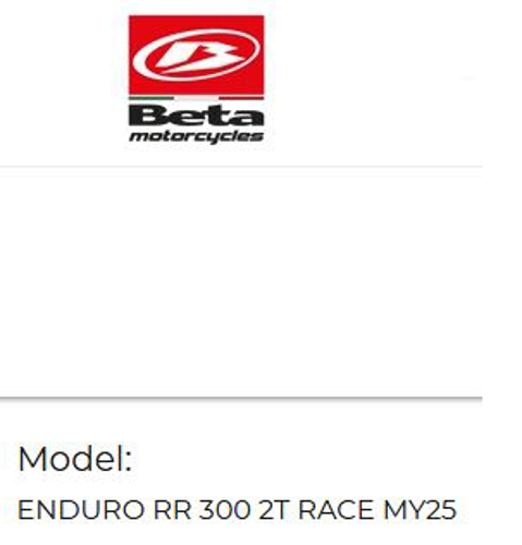 Picture for category ENDURO RR 300 2T RACE MY25