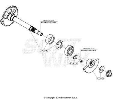 Picture of Balancete - Motor