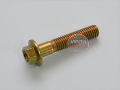 Imagem de Parafuso TM Racing - TE M8x40 CH.10