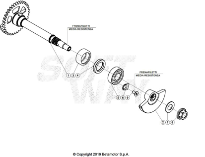 Picture of Balancete - Motor