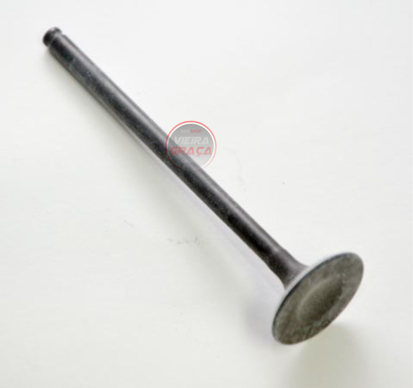 Imagem de Válvula escape Aço TM Racing 250Fi 4T >2010