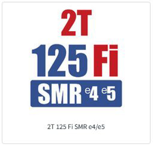 Imagem de categoria 2T 125 Fi SMR E4/E5