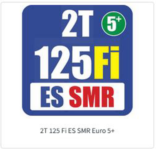 Imagem de categoria 2T 125 Fi ES SMR E5+