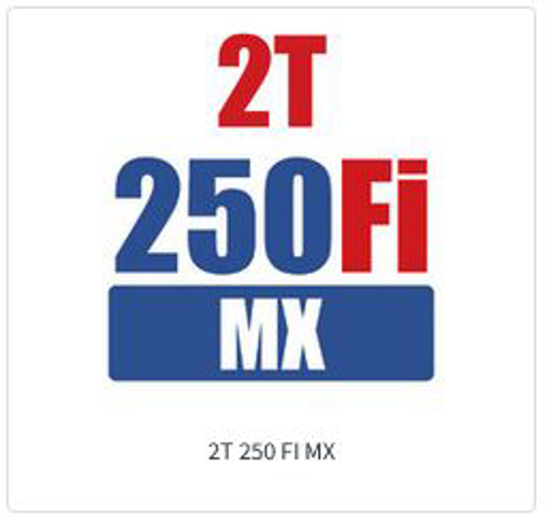 Imagem de categoria 2T 250 Fi MX
