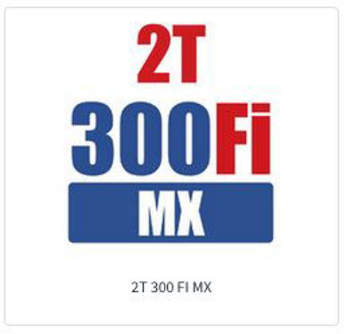 Imagem de categoria 2T 300 Fi MX