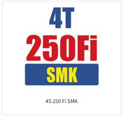 Imagem de categoria 4T 250 Fi SMK