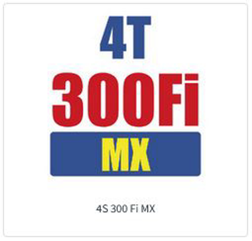 Imagem de categoria 4T 300 Fi MX