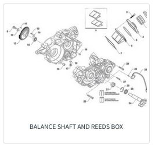 Imagem de categoria Balanço + admissão
