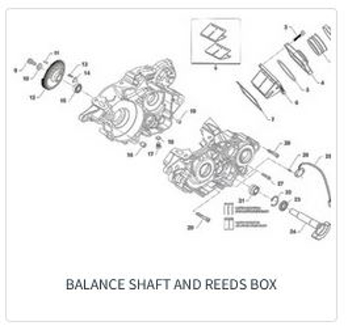 Imagem de categoria Balanço - Admissão