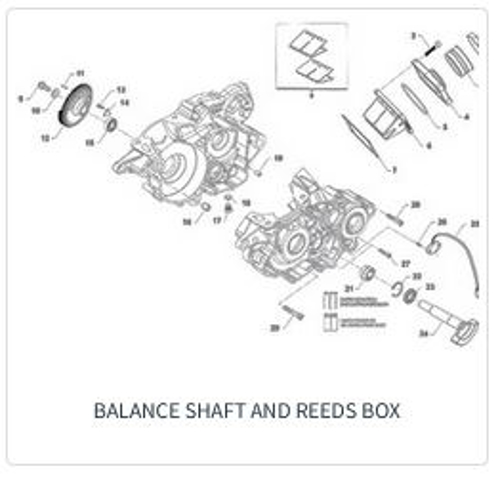 Imagem de categoria Balanço - Admissão